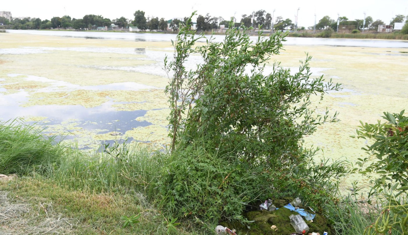 Mañana habrá una jornada de limpieza en el lago del Parque del Sur | Noticias