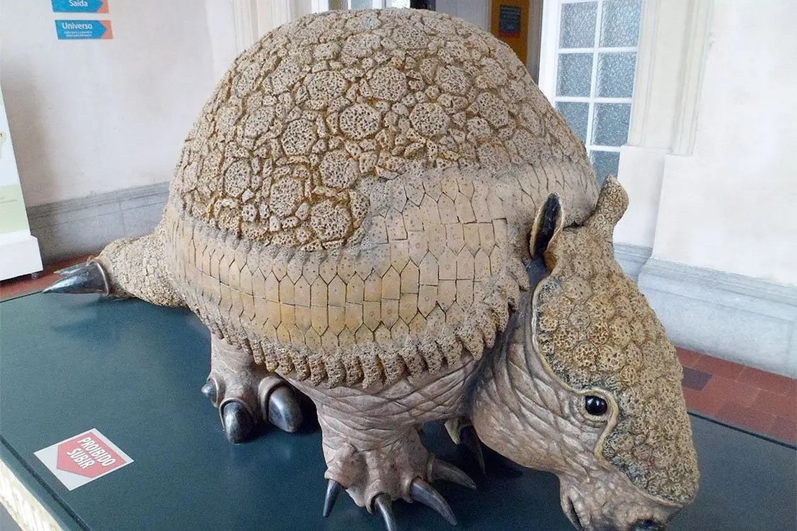 Encontraron dos gliptodontes de tres millones de años en Chapadmalal | Nacionales