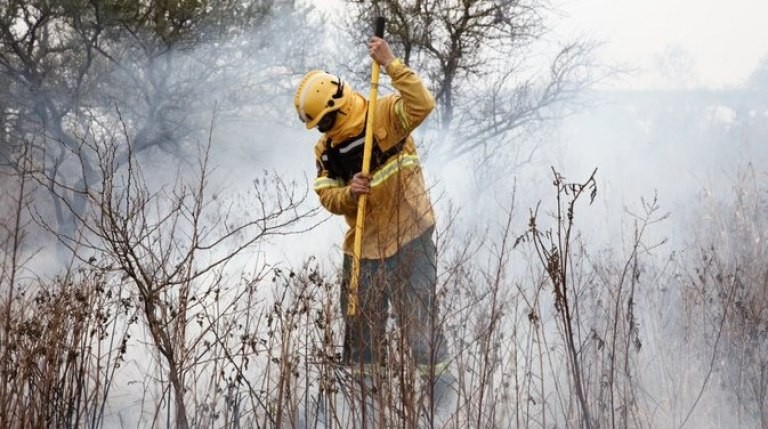 Chubut: el incendio en el Parque Nacional Los Alerces ya llegó al Lago Cholila | Nacionales