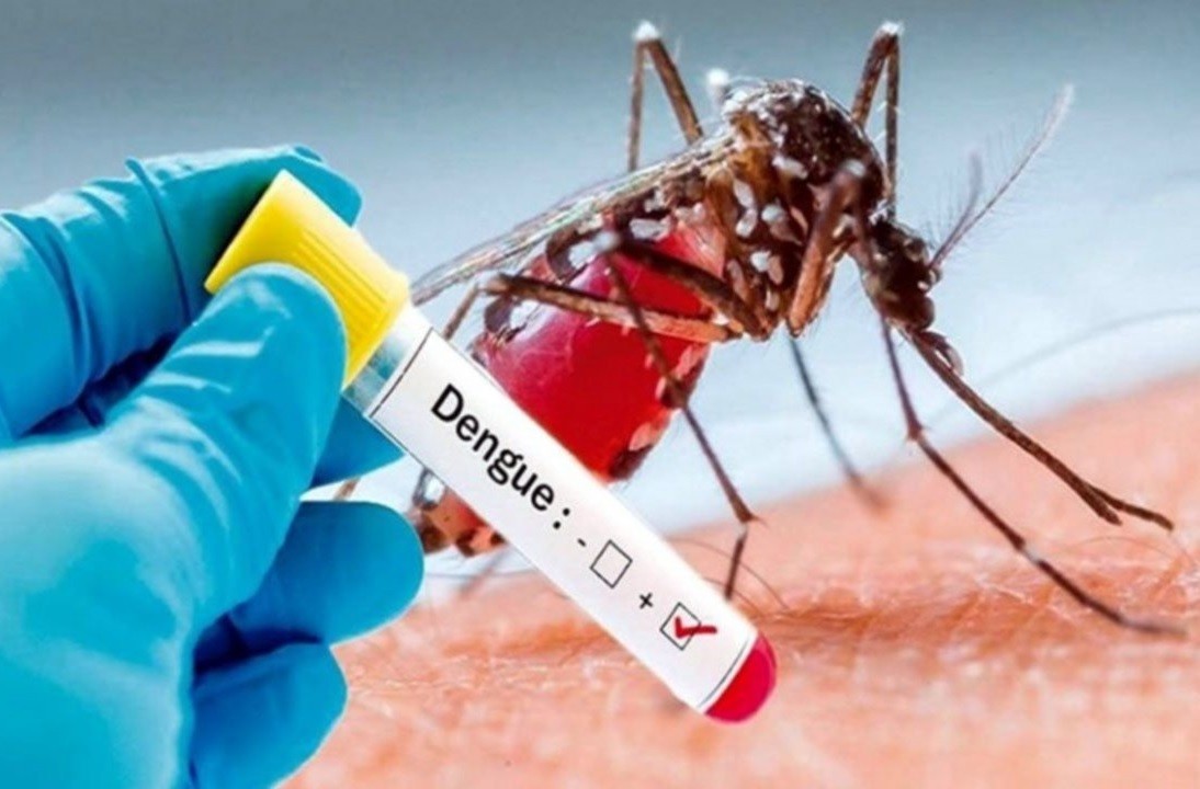 Insisten en la necesidad de extremar los cuidados para prevenir el dengue | Información General