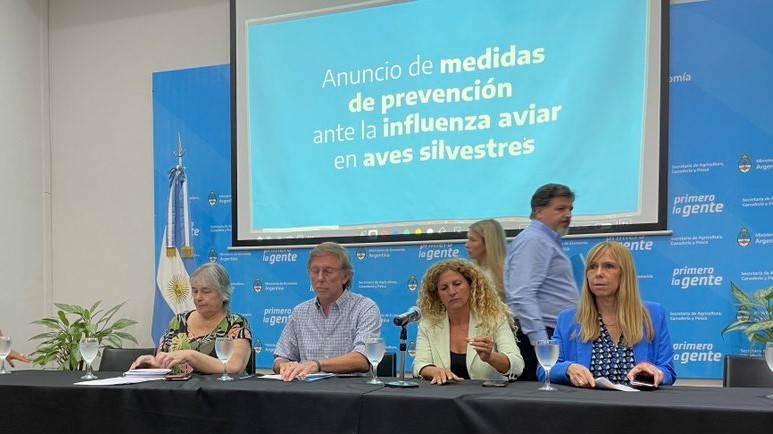 El Gobierno confirmó un caso de gripe aviar en la Argentina y declaró la emergencia sanitaria | Nacionales