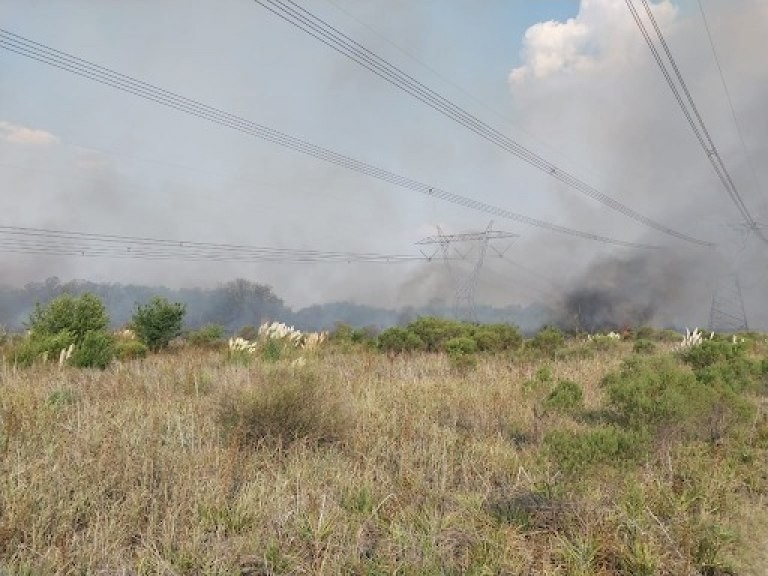 ¿Cuáles fueron las causas del enorme apagón en medio país? | Nacionales