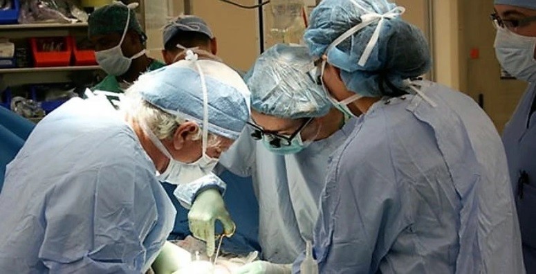 Tráfico de órganos: médicos le sacaron el riñón a un paciente sin su consentimiento | Información General