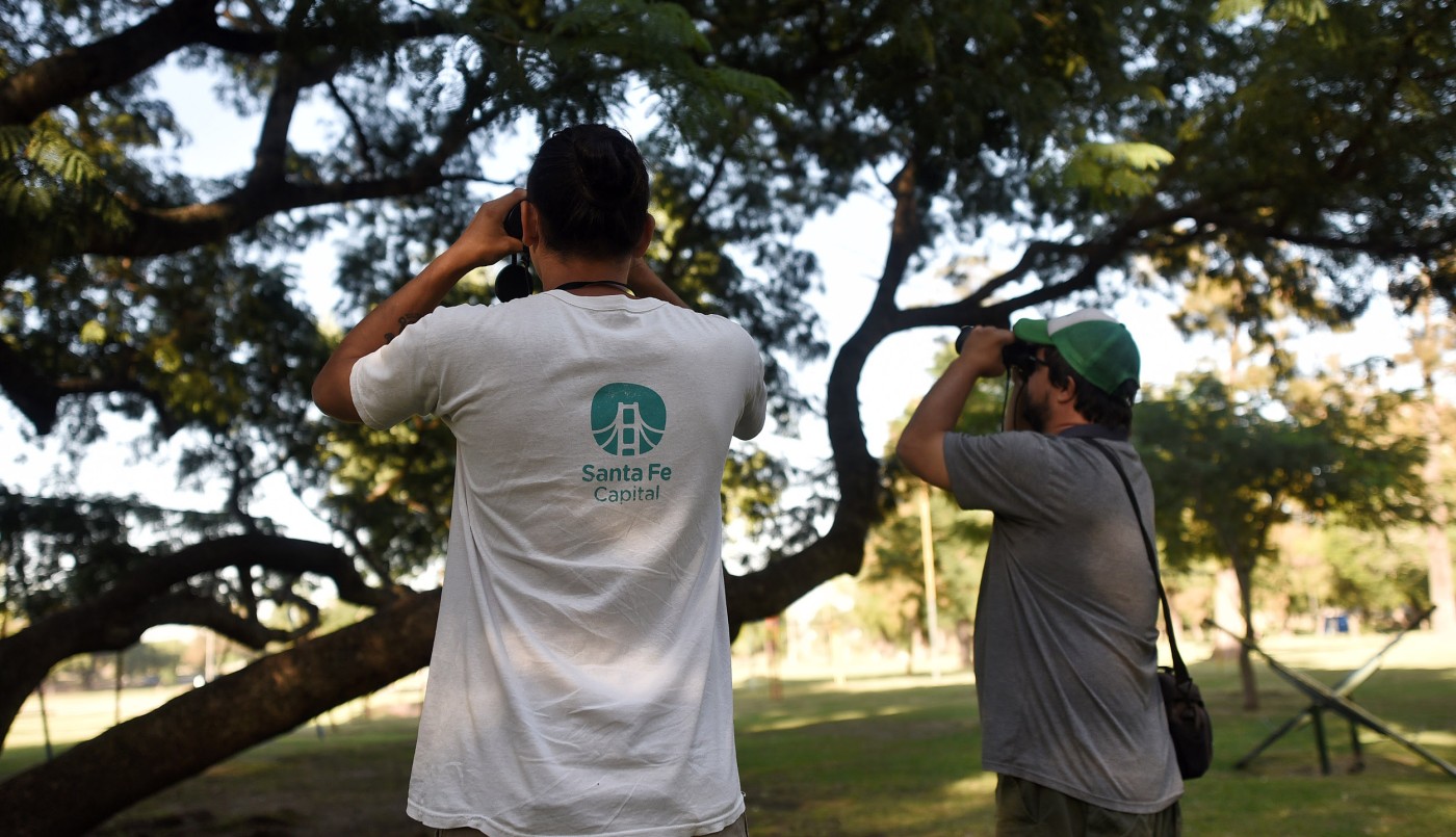 La Municipalidad de Santa Fe realiza un relevamiento de biodiversidad urbana | Noticias
