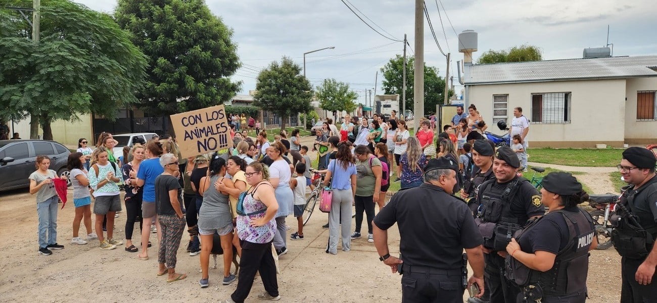 Venado Tuerto: una mujer agarró a palazos a una perra, hubo marcha y escrache | Noticias