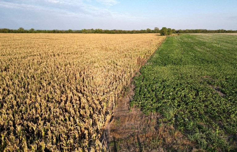 Por la sequía, los ingresos fiscales caerán en hasta 1% del Producto Bruto este año | Información General