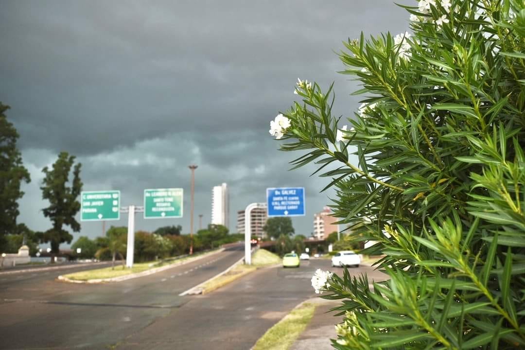 Rige un alerta amarillo por tormentas fuertes para Santa Fe y la región | Noticias