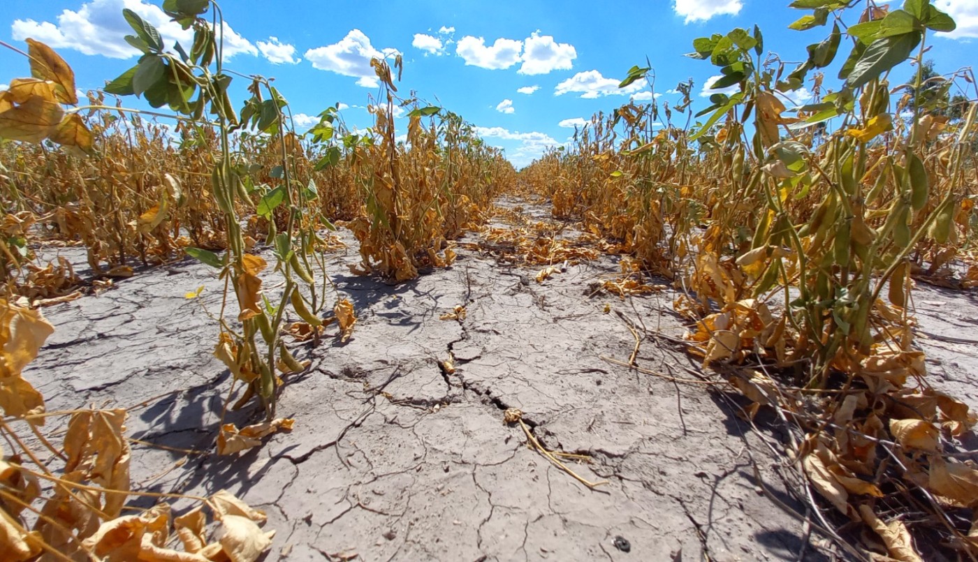 Emergencia agropecuaria: extienden el plazo para presentar solicitudes | Noticias