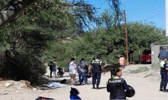 Mató a su cuñada de 20 puñaladas, se fugó y lo encontraron ahorcado | Nacionales