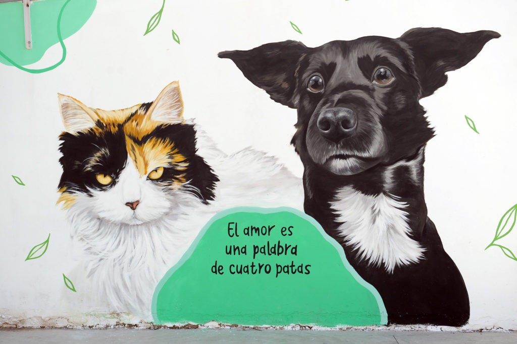 La Municipalidad propone actividades de concientización en el mes del Animal | Información General