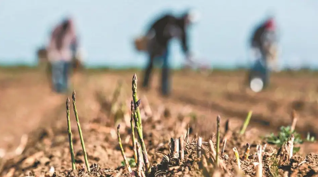 Más de 10 mil productores ya gestionaron la ayuda por sequía en Santa Fe | Noticias