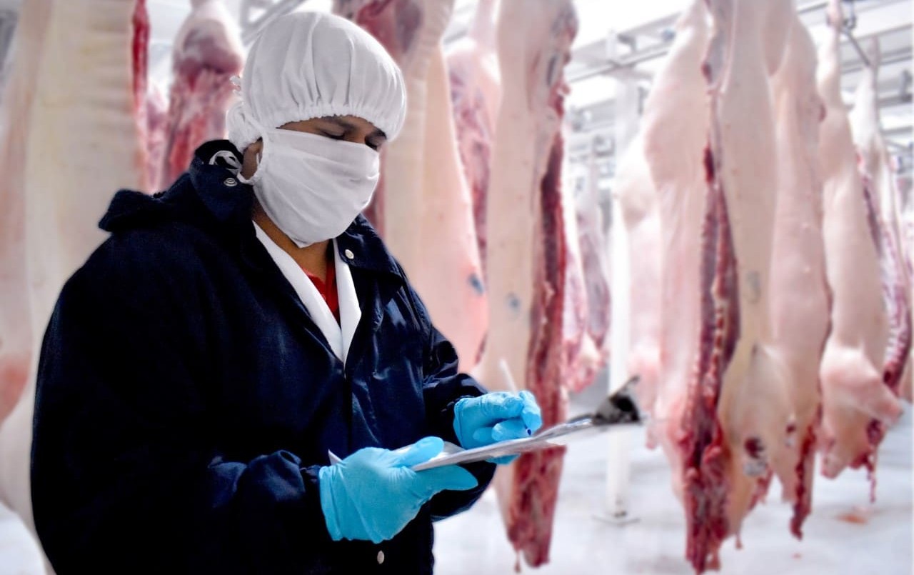 La actividad industrial de Santa Fe experimentó un repunte del 5,5% en enero de este año | Noticias