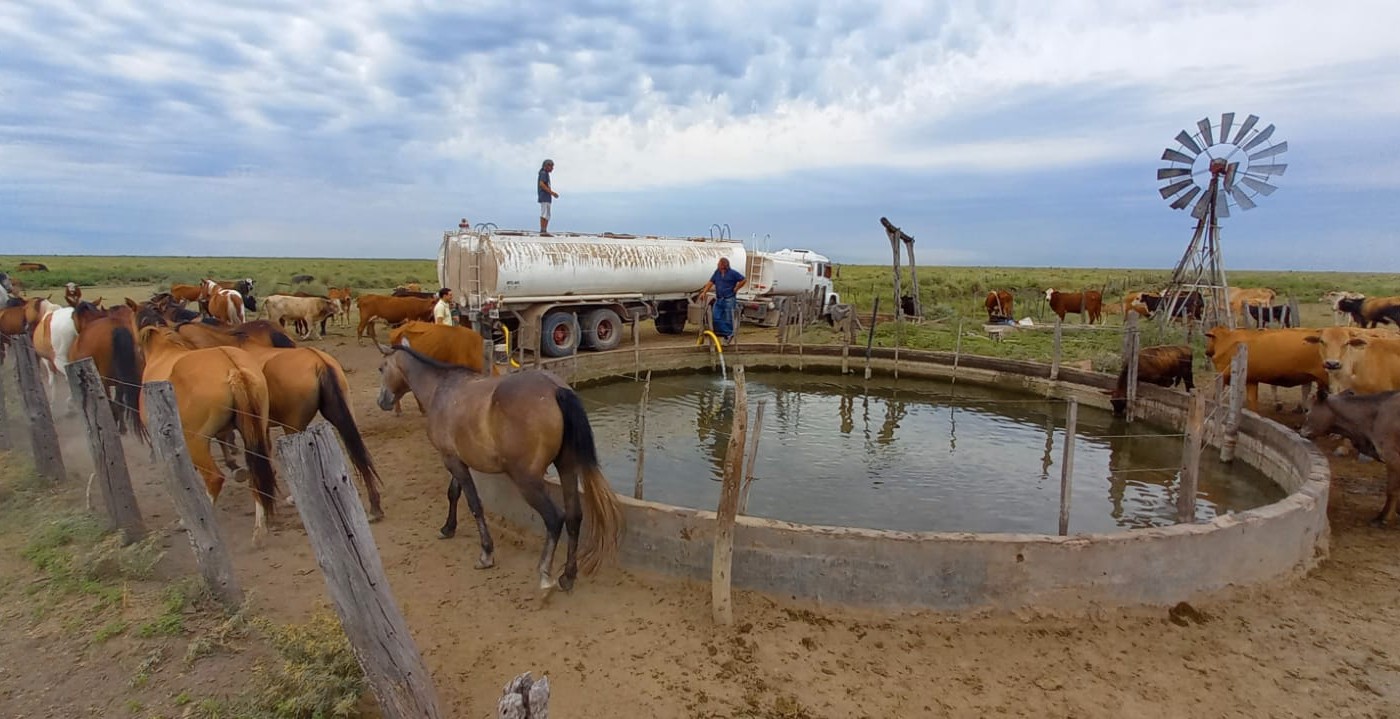 La provincia asistió por $360 millones en créditos y subsidios para 1.800 productores del norte | Información General
