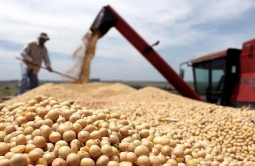 El Gobierno fijó los requisitos para acceder al dólar soja | Noticias