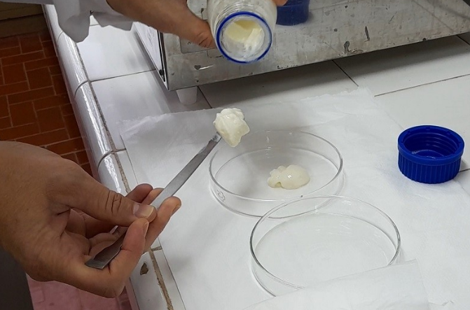 Investigadores santafesinos desarrollan un nuevo producto lácteo fortificado con calcio | Información General