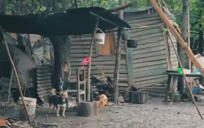 "Baños dignos": El insólito spot de un intendente tucumano | Nacionales