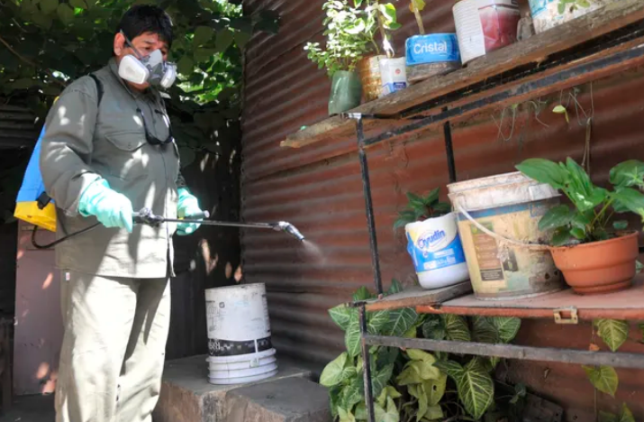 Detectan nuevas variantes de Dengue tipo 2 y Chikungunya en Argentina | Noticias