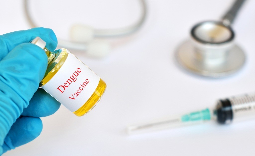 Vacunas contra el dengue, ¿cuáles son y qué hay en Argentina? | Salud