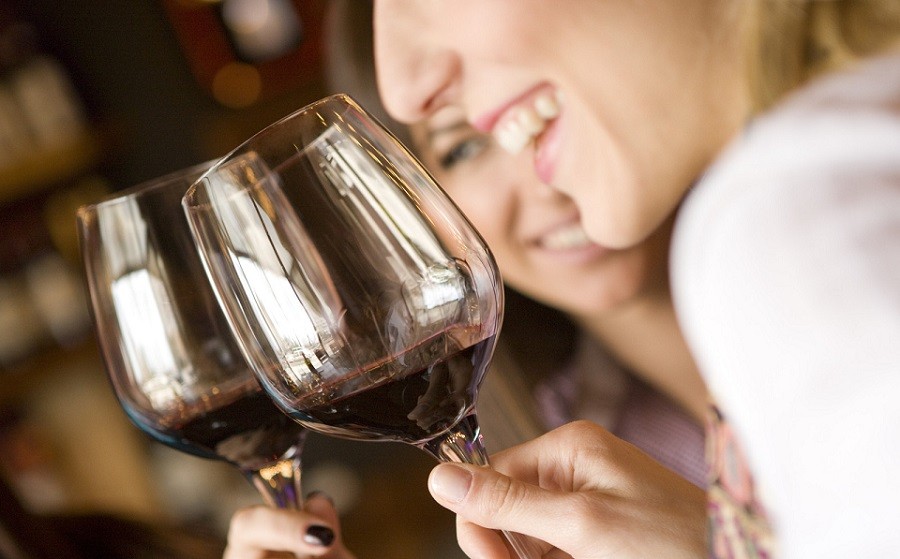 Vitivinícolas organizan "Dionisias", la primera feria de vinos de mujeres de Argentina | Nacionales