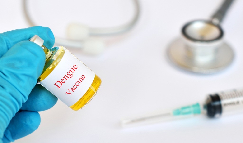 Afirman que la vacuna contra el dengue llegará “a mediados de primavera” | Salud