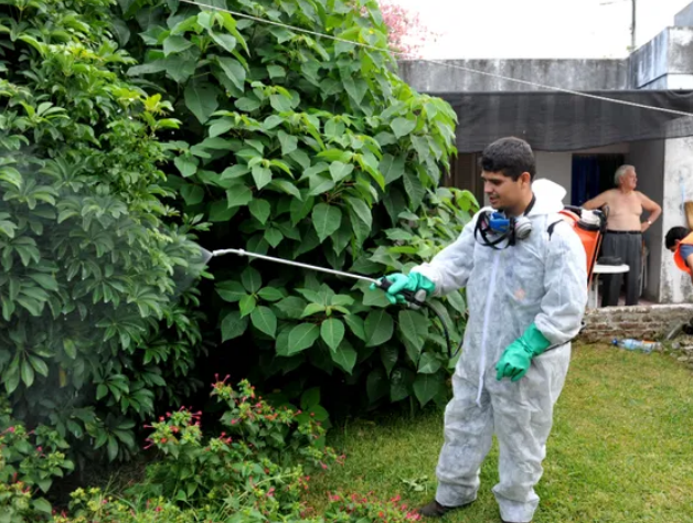 Defensoría del Pueblo pide al Ministerio de Salud un programa permanente contra el dengue | Noticias