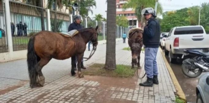 Insólito: un manifestante a caballo quiso entrar a la Casa de Gobierno de Chaco | Nacionales