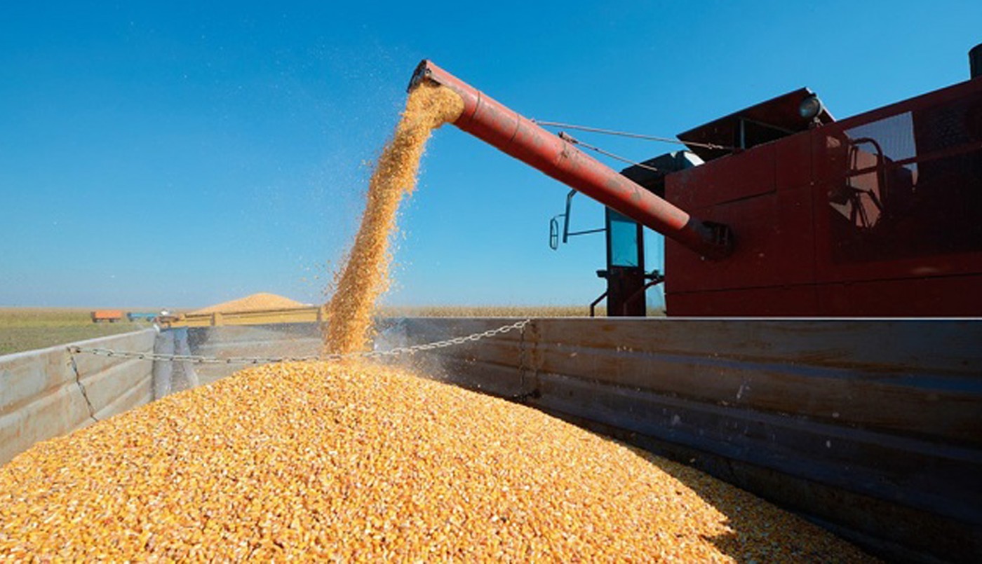 Por el dólar soja 3, se llevan liquidados poco más de 2.000 millones de dólares | Nacionales