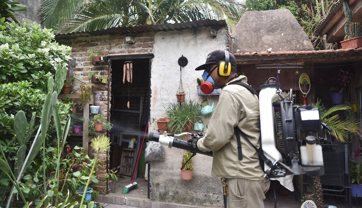 Dengue: nuevo descenso en la cantidad de nuevos casos en la ciudad | Salud