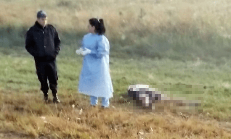 Corrientes: murió un hombre tras ser atropellado por un automovilista que siguió y se fugó hacia Brasil | Nacionales