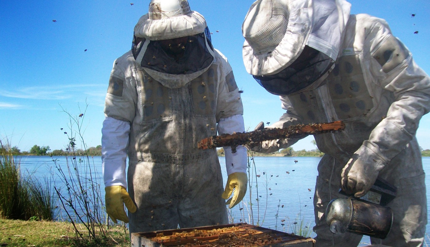 El gobierno de Santa Fe acompaña una nueva edición de la Semana de la Miel | Noticias