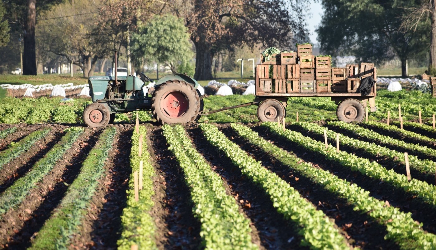 La provincia acompaña a productores frutihortícolas afectados por la sequía | Noticias