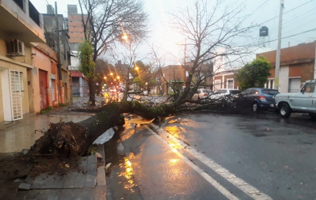 Por el fuerte temporal en Rosario hay calles anegadas y árboles caídos | Noticias