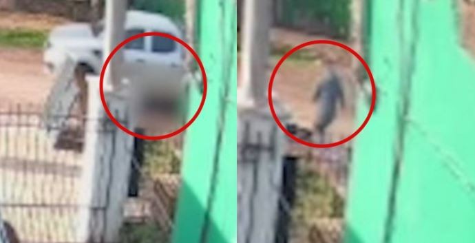 Atropelló, mató a un nene de dos años y escapó: dos días después de detenerlo lo liberaron | Nacionales