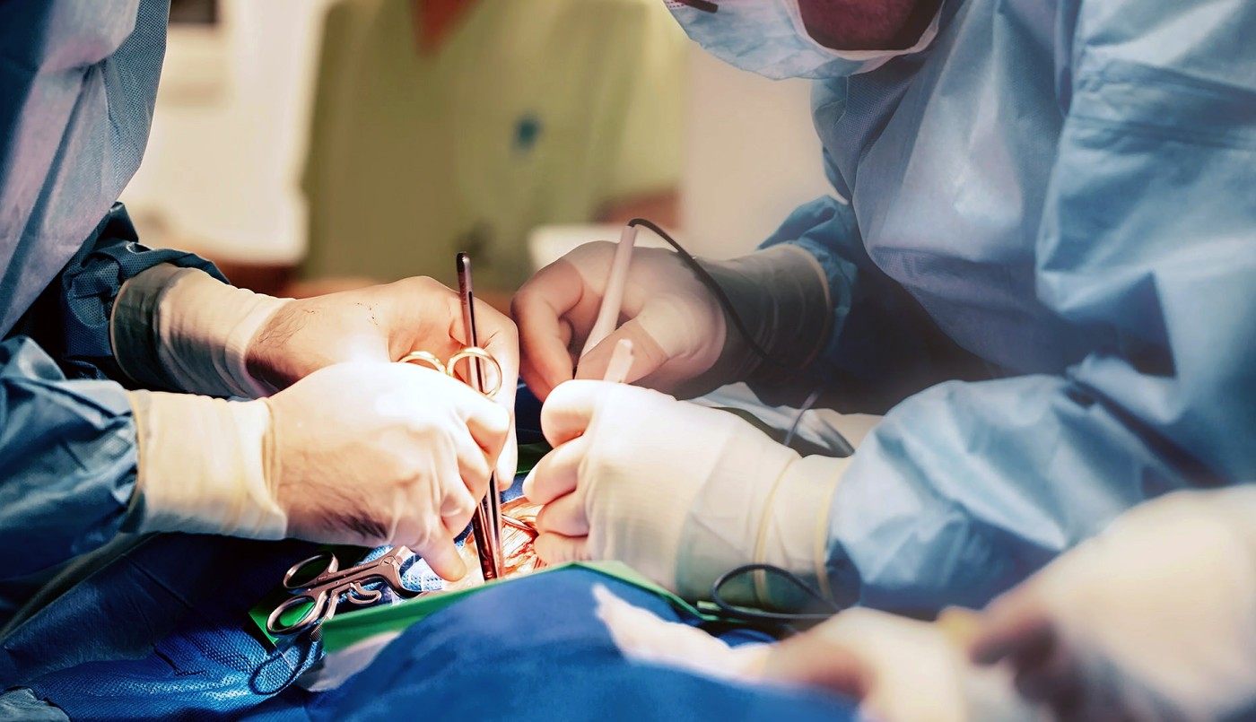 Día Nacional de la Donación de Órganos: ya se realizaron más de 1500 trasplantes en 2023 | Salud