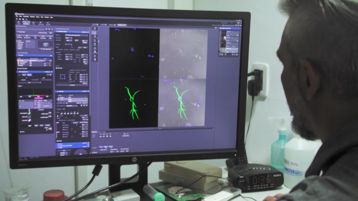 La provincia presentó un ciclo de documentales para conocer qué es y cómo se hace ciencia en Santa Fe | Noticias