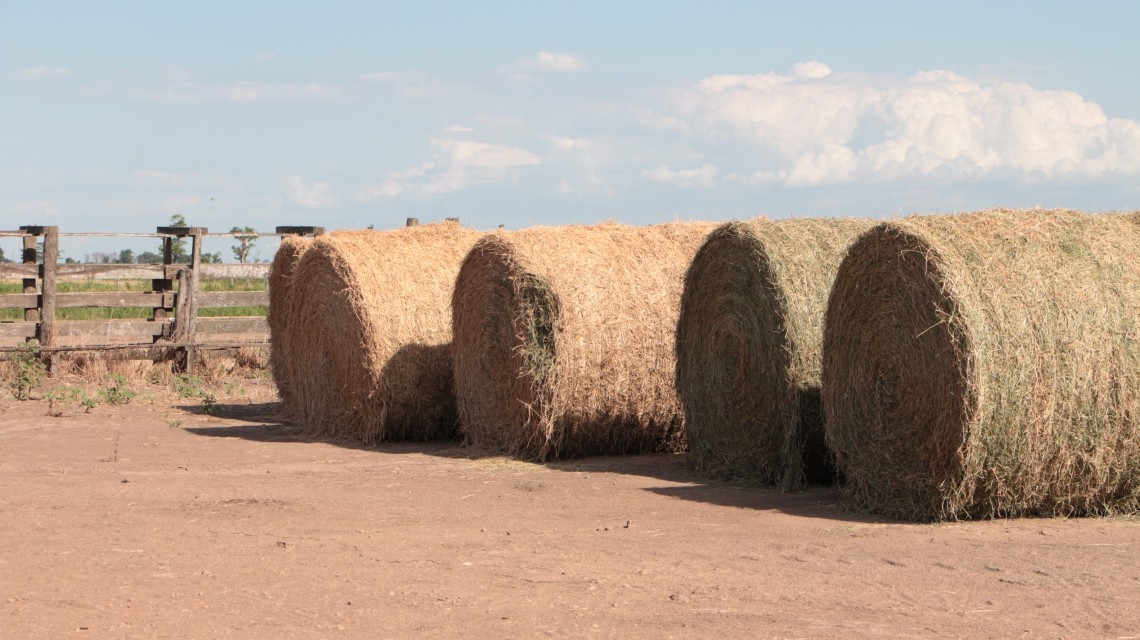La provincia ofrece créditos con tasa bonificada por $5.000 mil millones al sector agropecuario | Información General