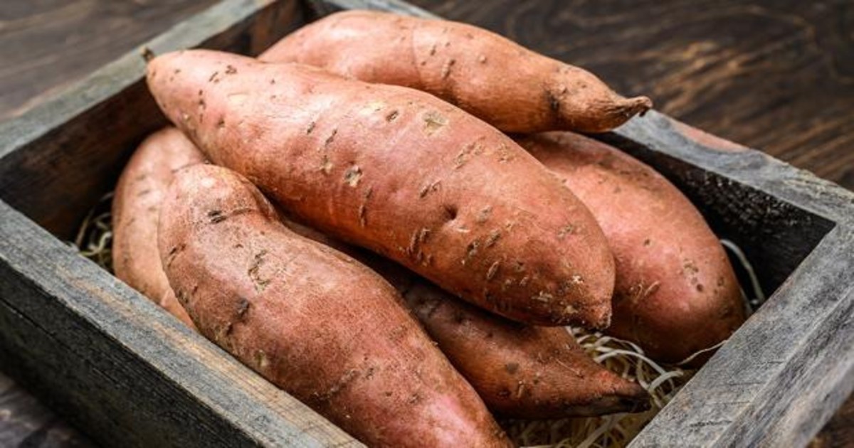 Reina batata: aumentó 450% en el último año | Nacionales
