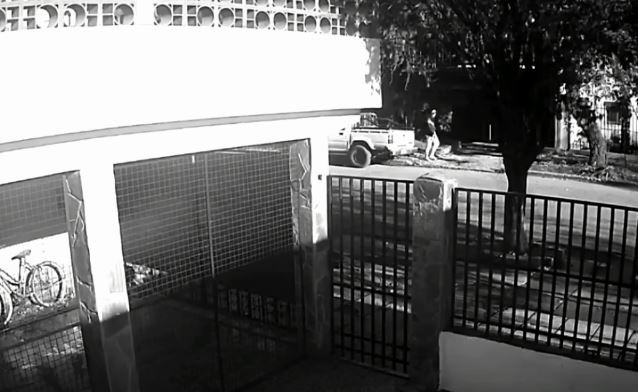 Caso Cecilia: hallaron posibles manchas de sangre en la camioneta de César Sena | Nacionales