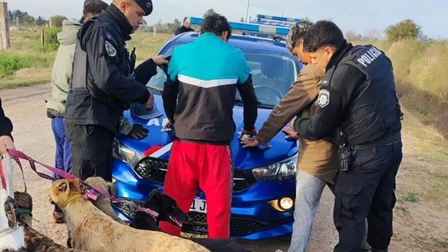 Funes: rescataron más galgos maltratados que usaban para cazar y hay tres detenidos | Noticias