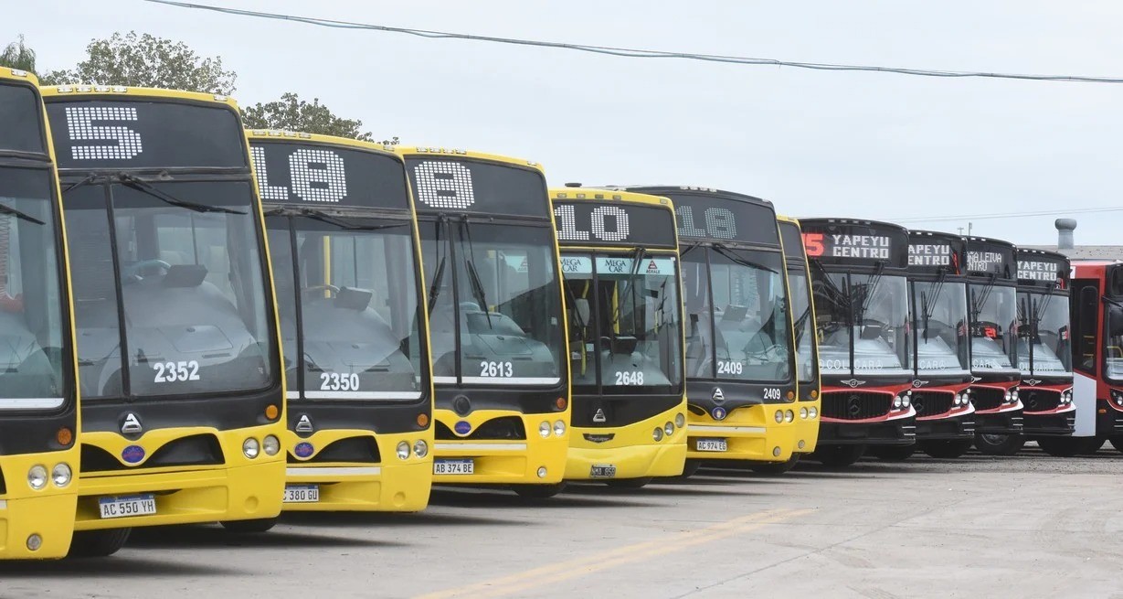 "El intendente Jatón debe retirar los pliegos del transporte público" | Información General