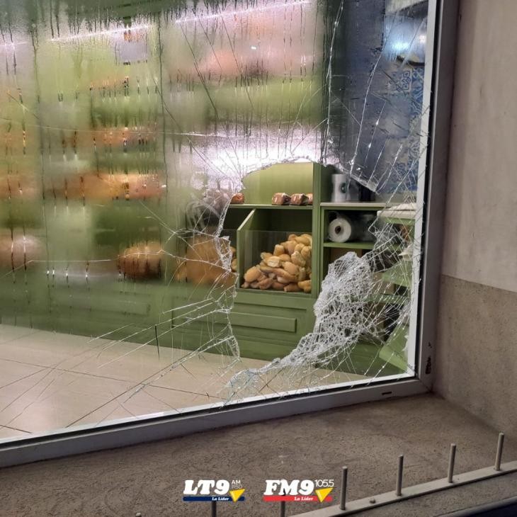 Robaron en dos comercios de la ciudad | Noticias