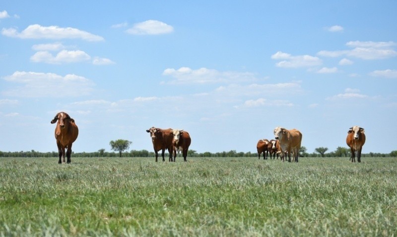 Entregaron más de $126 millones en créditos a tasa cero para productores | Información General