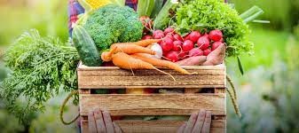 Los precios de los agroalimentos se multiplicaron por 3,4 veces en julio | Nacionales