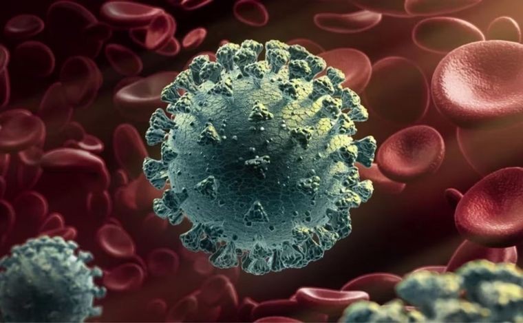 La OMS detectó una nueva variante de coronavirus en Argentina: los síntomas | Salud