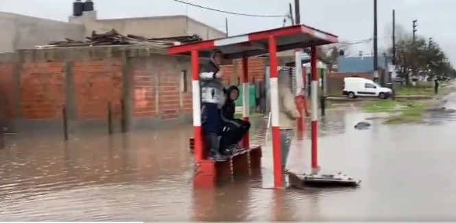 Inundaciones en La Plata: "Abordemos el tema sin oportunismos", pidió el intendente Garro | Nacionales