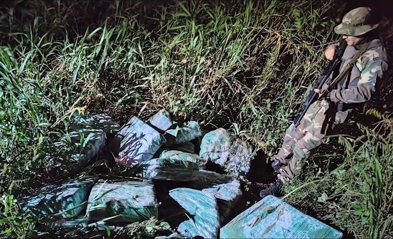 Incautan más de 415 kilos de marihuana valuada en unos 379 millones de pesos en Misiones | Nacionales