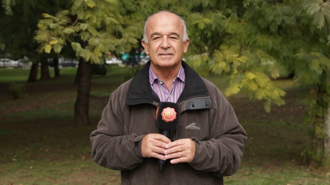 Martín Bustamante: 40 años en la TV | Información General