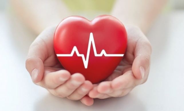 La enfermedad cardiovascular causa la muerte del 27% de las mujeres mayores de 60 años en Argentina | Información General