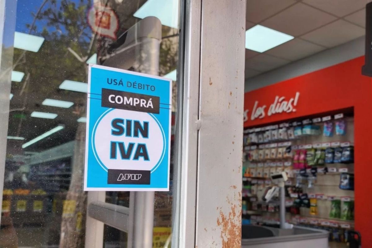 Se aprobó en Diputados el proyecto del programa "Compra sin IVA" | Legislativas