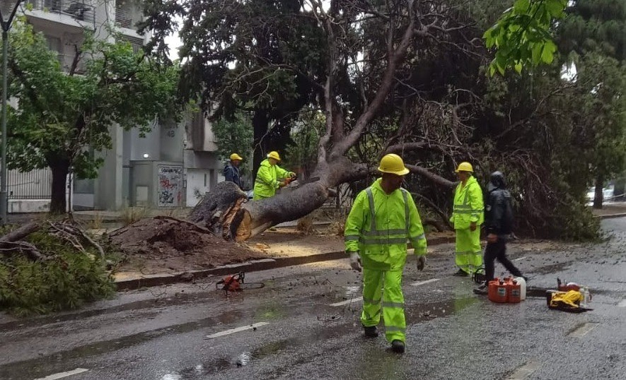 Llovió más de 65 milímetros y se monitorea la situación en toda la ciudad | Información General